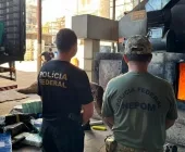 Cerca de 10 toneladas de drogas são destruídas em Guaíra