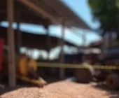 Criança de 2 anos morre após ser atropelada por trator em SC
