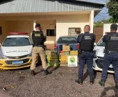 PM e Guarda Municipal apreendem grande quantidade de drogas em Guaíra