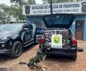 Após fuga, BPFRON apreende carro com cigarros na BR-163 em Marechal Rondon