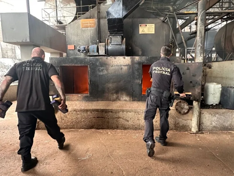 PF de Guaíra destrói nove toneladas de entorpecentes