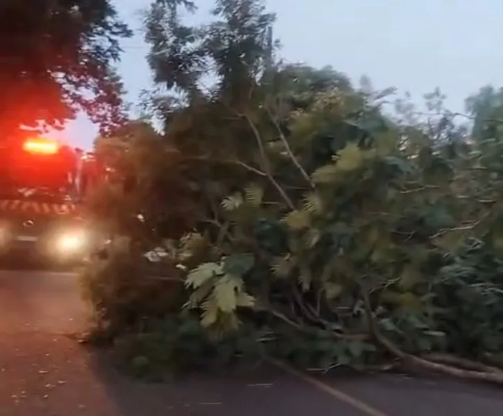 Motorista embriagado desacata bombeiros em ocorrência e acaba preso, em Guaíra