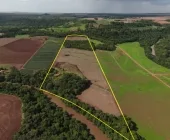Imperdível! Sítio à venda nas margens do Rio Guaçu, em Planalto do Oeste