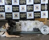 Cocaína avaliada em R$ 2 milhões é apreendida na Ponte Ayrton Senna