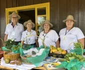 Mercedes marca presença no Show Rural com exposição produtos naturais e saúde alternativa
