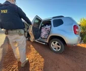 Veículo furtado em Terra Roxa é apreendido carregado com cigarros na BR-272