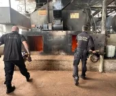 PF de Guaíra destrói nove toneladas de entorpecentes