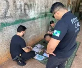 Polícia Civil de Terra Roxa e Exército destroem armas apreendidas