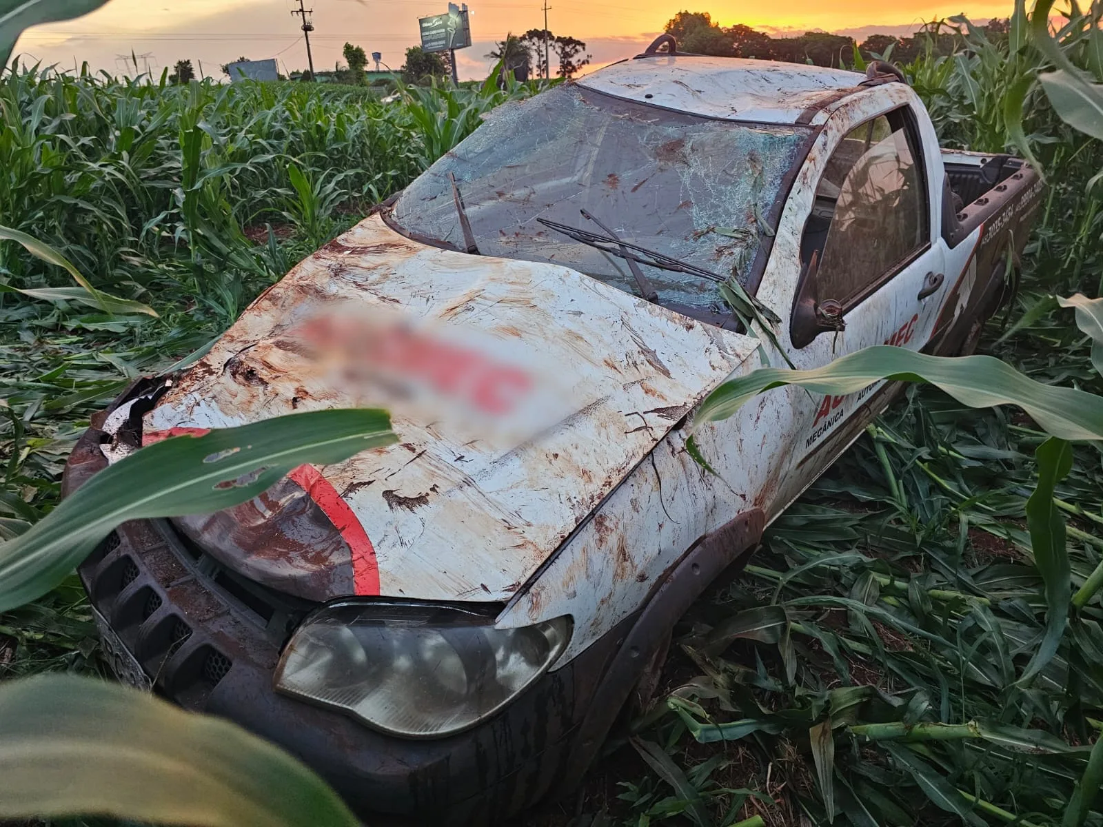 Carro capota na BR-163 entre Toledo e Sede Alvorada