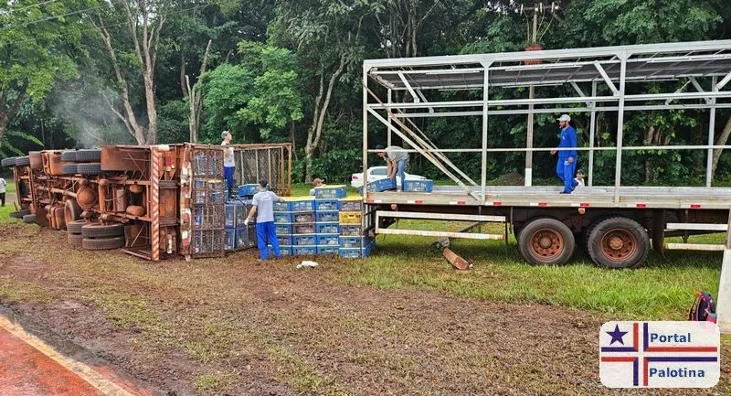 Caminhão carregado com frangos tomba em Palotina
