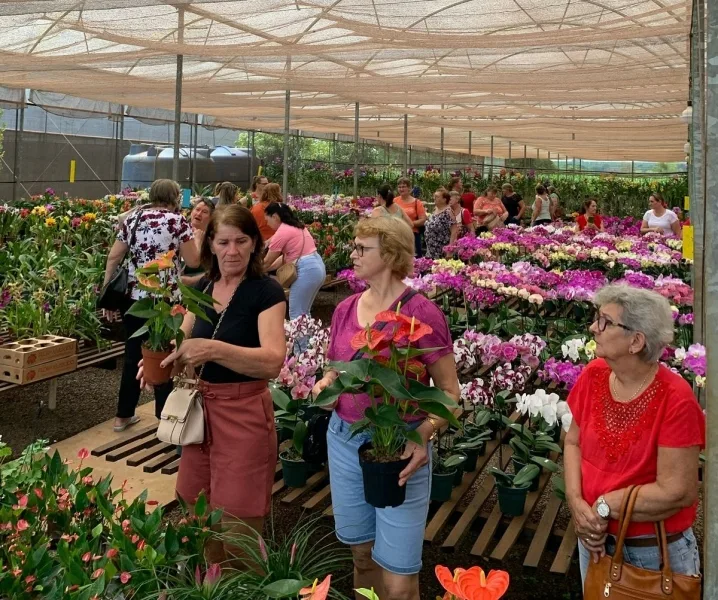 Clubes femininos de Mercedes vão ao Sítio das Orquídeas