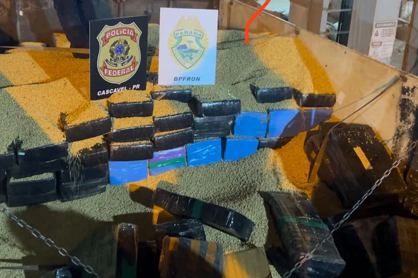 BPFRON e Polícia Federal apreendem 2,3 toneladas de maconha na BR-163