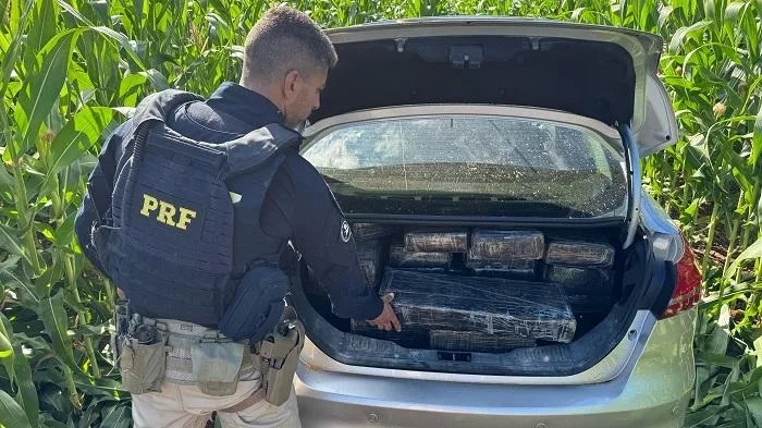 PRF apreende mais de meia tonelada de maconha após fuga entre Nova Santa Rosa e Maripá