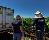 Corpo é encontrado em lavoura de milho no interior de Toledo