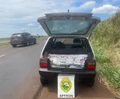 Jovem que saiu de Marechal é preso em Toledo com carro carregado de contrabando