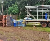 Caminhão carregado com frangos tomba em Palotina