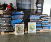 Polícia apreende mais de uma tonelada de maconha em Guaíra