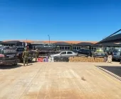 Polícia apreende 495 kg de maconha após acidente em Francisco Alves