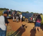 Homem é encontrado morto decapitado em Guaíra