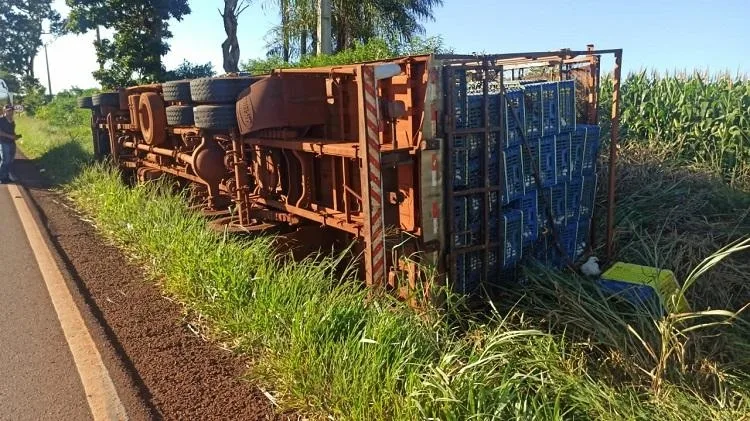 Caminhão carregado com frangos tomba na PR-239 entre Toledo e Vila Nova