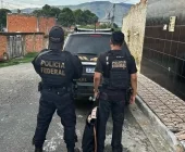 Com apoio da PF de Guaíra, homem é preso no RJ com conteúdo sexual infantil