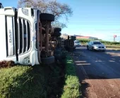 Carreta tomba em Toledo e atinge árvore
