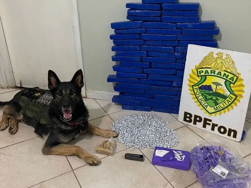 Mais de 40kg de drogas são localizados em residência de Terra Roxa