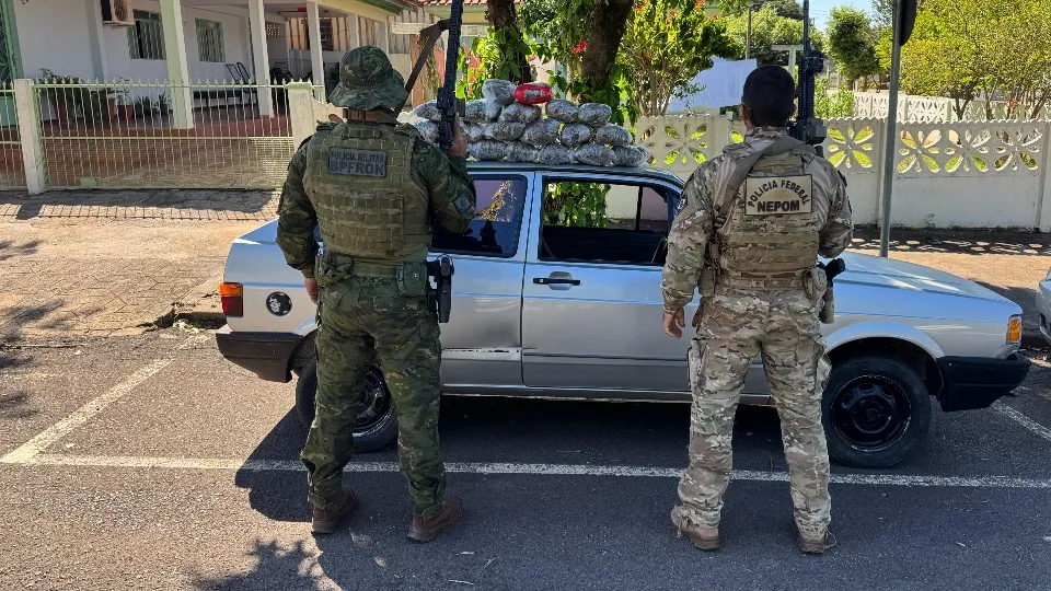 Adolescente é apreendido com mais de 15kg de skunk em Terra Roxa