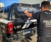 Polícia Civil de Terra Roxa prende homem que descumpriu medida protetiva