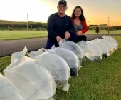 Prefeitura solta espécies predadoras e reforça equilíbrio do Lago Municipal de Mercedes