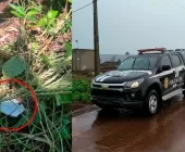 Polícia de Toledo prende cinco por furtos em usinas solares após encontrar comprovante de aposta perdido