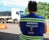 Raiva animal: propriedades de Mercedes entram no radar da Adapar