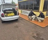 PRF apreende carro furtado com 300 kg de maconha na BR-163 em Marechal Rondon