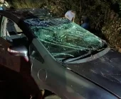 Quatro pessoas ficam feridas em capotamento em Toledo