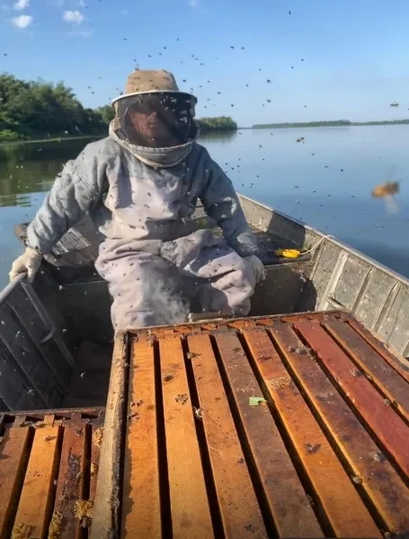 Apicultores de Guaíra buscam reconhecimento e qualificação do mel produzido na Ilha Grande