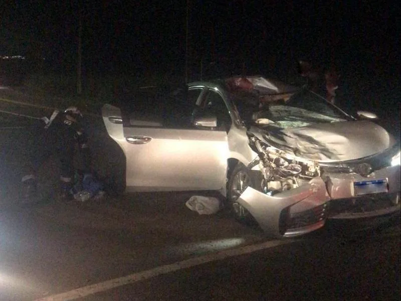 Vaca solta na pista provoca acidente na PR-364, em Terra Roxa