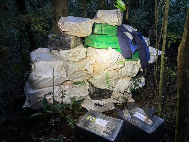 Polícia apreende 1200 kg de maconha em Mercedes