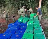 PF e BPFron apreendem mais de 8,5 toneladas de maconha em operação em Altônia
