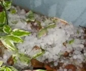 Chuva com granizo e vento forte atinge Assis Chateaubriand