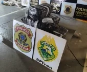 Homem é preso em Guaíra com quase 50 kg de maconha 'capulho'
