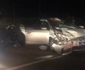 Vaca solta na pista provoca acidente na PR-364, em Terra Roxa