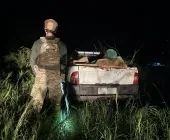 Carro com cigarros e agrotóxicos é apreendido em Mercedes