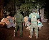 PF e BPFRON apreendem mais de 4 toneladas de maconha em Terra Roxa