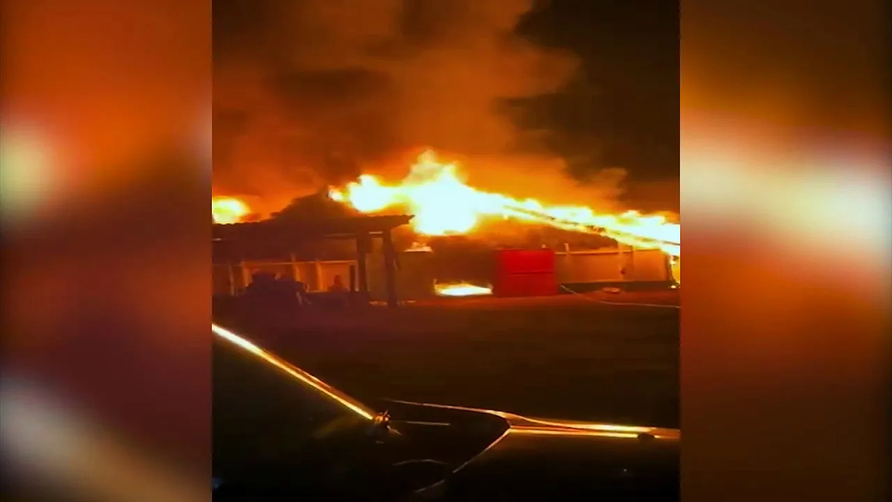 Tragédia no campo: fogo destrói aviário e mata 21 mil pintainhos em Cascavel