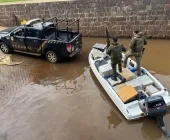 Carga de anabolizantes avaliada em R$ 5 milhões é apreendida em Guaíra
