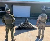 Polícia localiza quase meia tonelada de maconha em área de mata em Guaíra