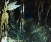 Homem é morto e decapitado no interior de Guaíra