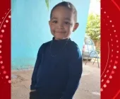 Criança tem 33 paradas cardíacas e morre após ser picada por escorpião escondido dentro de tênis, no Paraná