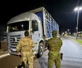 Seis pessoas são presas em Guaíra tentando levar cargas ilegais de frangos ao Paraguai