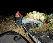 Barco carregado com drogas é apreendido na Ilha Grande